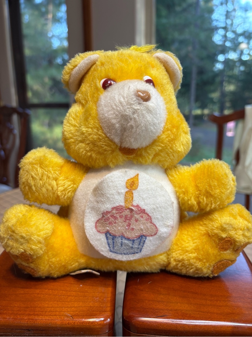Vintage Care Bears Birthday Bear Coin Bank Plush 1984 American Greetings